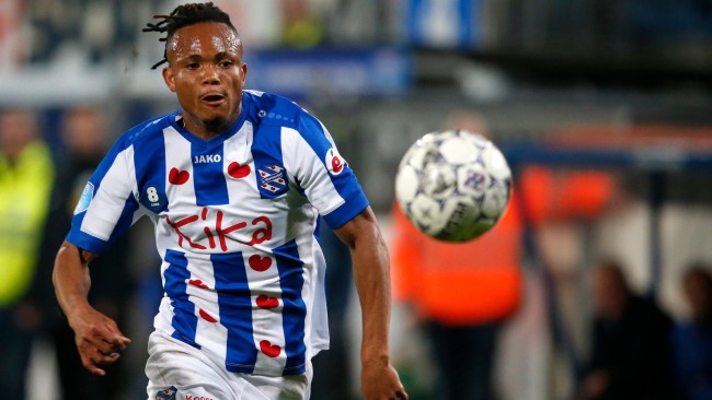 技术特点 技术特点