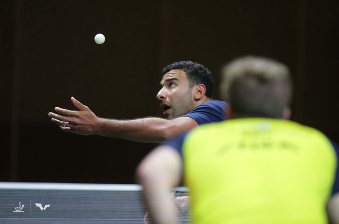 不仅展现了 不仅展现了