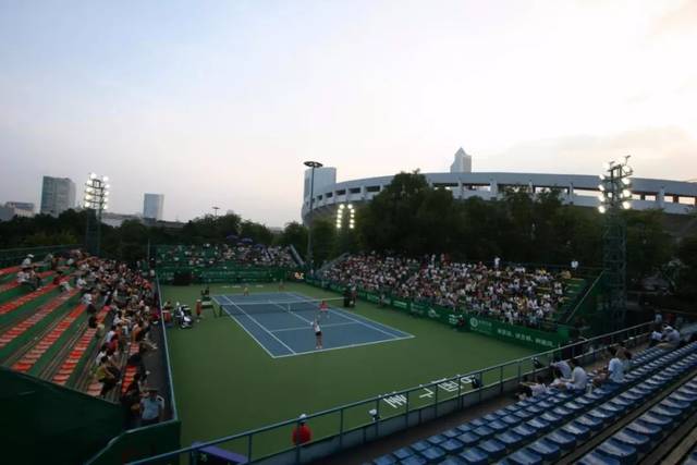 的年轻后卫 的年轻后卫